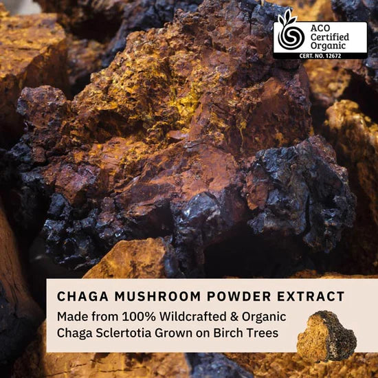 Load image into Gallery viewer, Teelixir Chaga Mushrooms 50g