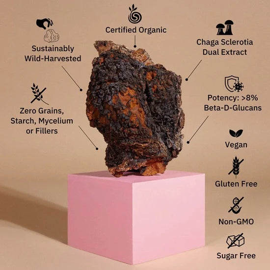 Load image into Gallery viewer, Teelixir Chaga Mushrooms 50g