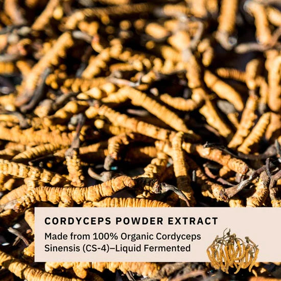 Load image into Gallery viewer, Teelixir Cordyceps Mushrooms 50g