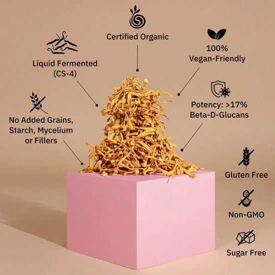 Load image into Gallery viewer, Teelixir Cordyceps Mushrooms 50g